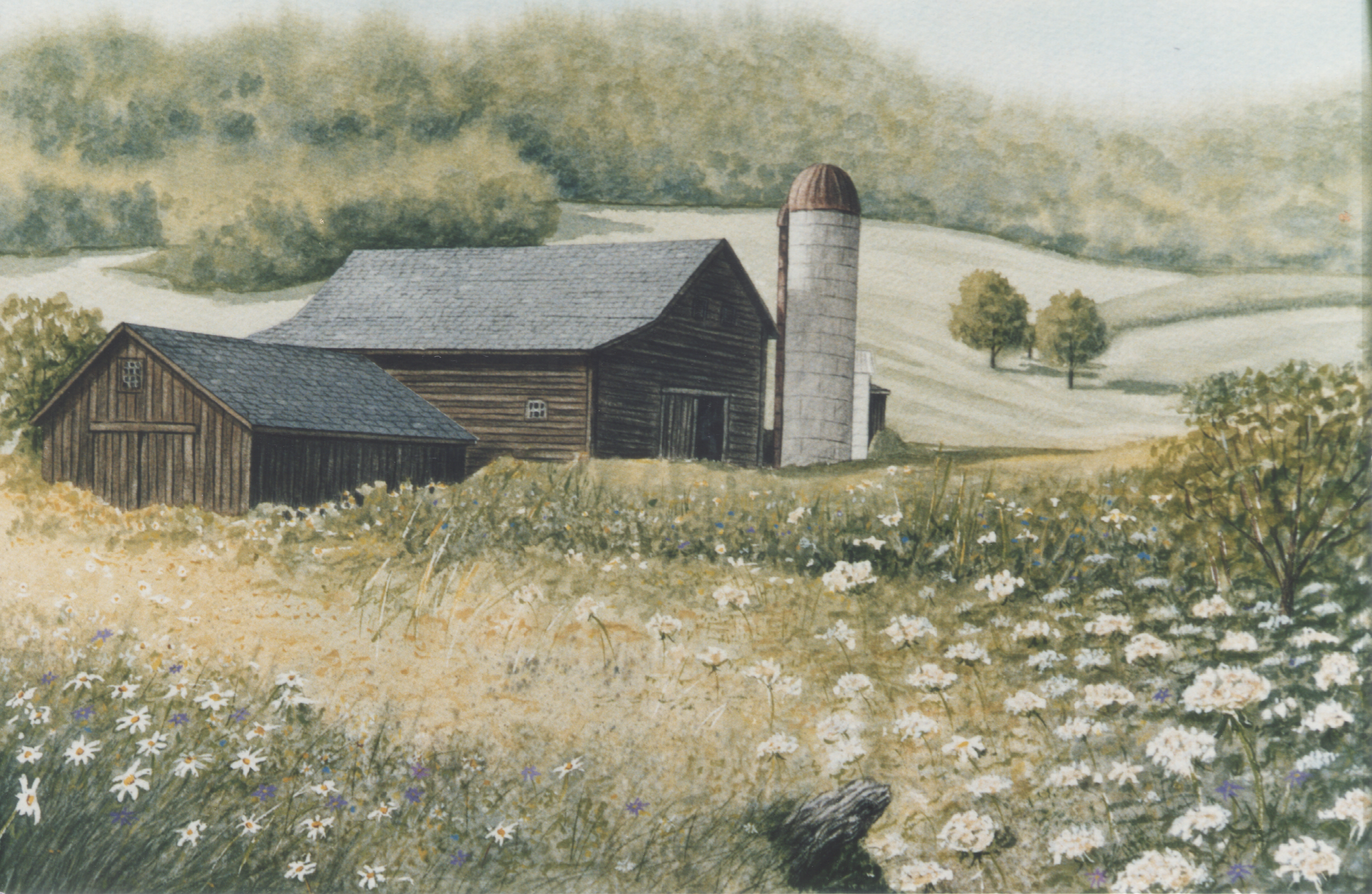 Cherry Valley Summer